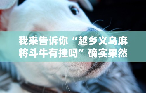我来告诉你“越乡义乌麻将斗牛有挂吗”确实果然有挂