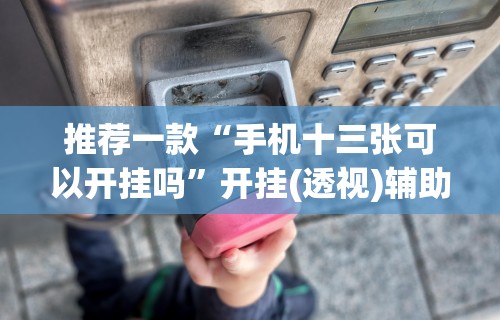 推荐一款“手机十三张可以开挂吗”开挂(透视)辅助教程