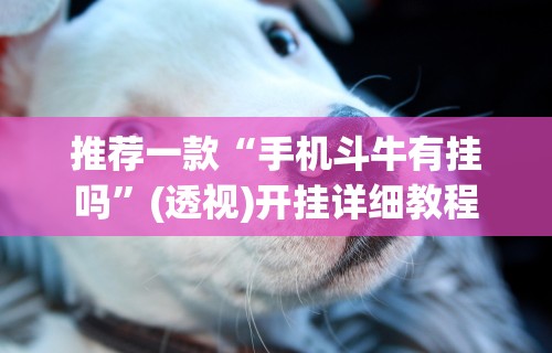 推荐一款“手机斗牛有挂吗	”(透视)开挂详细教程