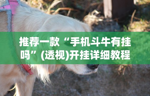 推荐一款“手机斗牛有挂吗”(透视)开挂详细教程
