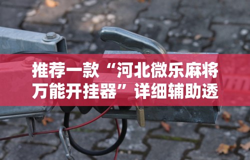 推荐一款“河北微乐麻将万能开挂器”详细辅助透视