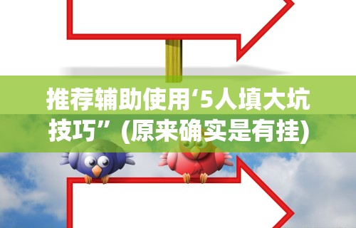推荐辅助使用‘5人填大坑技巧”(原来确实是有挂)