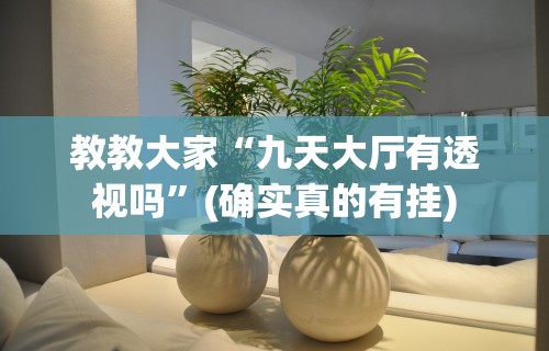 教教大家“九天大厅有透视吗”(确实真的有挂)