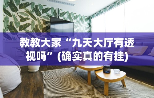 教教大家“九天大厅有透视吗	”(确实真的有挂)