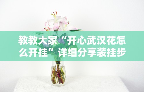 教教大家“开心武汉花怎么开挂”详细分享装挂步骤教程