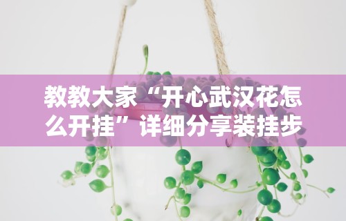 教教大家“开心武汉花怎么开挂	”详细分享装挂步骤教程