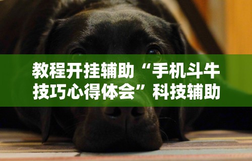 教程开挂辅助“手机斗牛技巧心得体会”科技辅助神器手机版教程