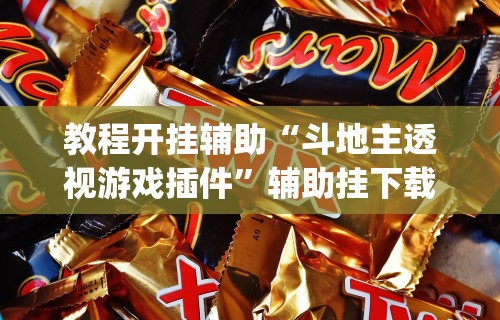 教程开挂辅助“斗地主透视游戏插件”辅助挂下载”(最新开挂教程)