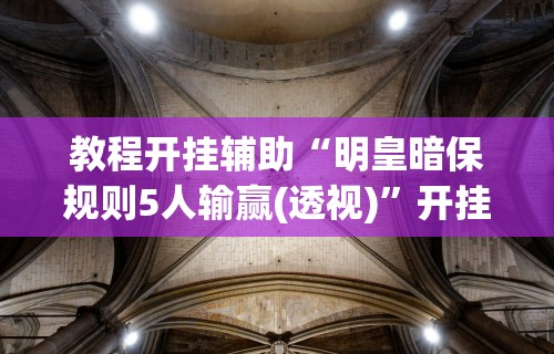 教程开挂辅助“明皇暗保规则5人输赢(透视)”开挂(透视)辅助教程