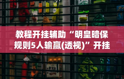 教程开挂辅助“明皇暗保规则5人输赢(透视)”开挂(透视)辅助教程