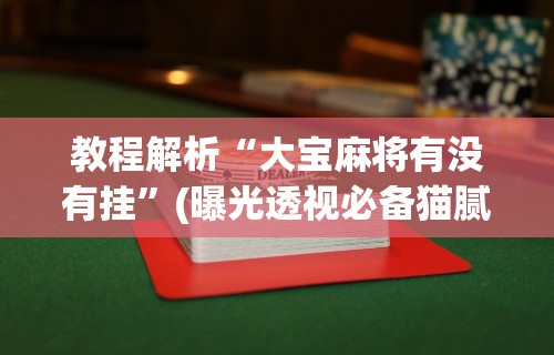 教程解析“大宝麻将有没有挂”(曝光透视必备猫腻)