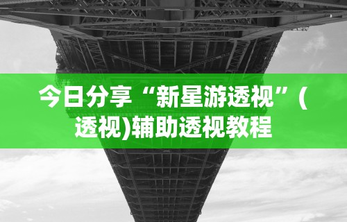 今日分享“新星游透视”(透视)辅助透视教程