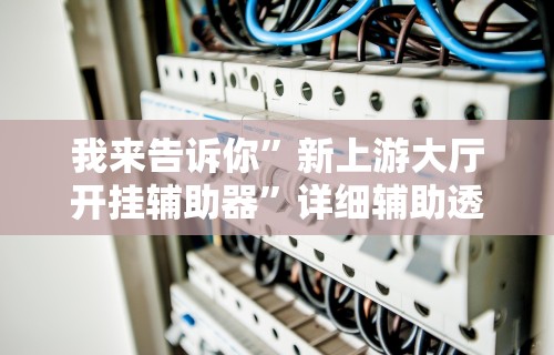 我来告诉你”新上游大厅开挂辅助器	”详细辅助透视