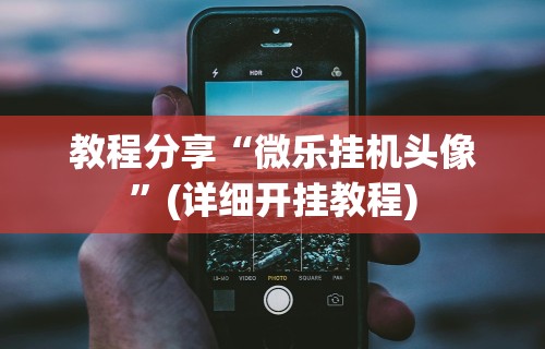 教程分享“微乐挂机头像”(详细开挂教程)