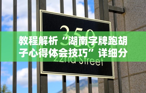 教程解析“湖南字牌跑胡子心得体会技巧”详细分享装挂步骤教程