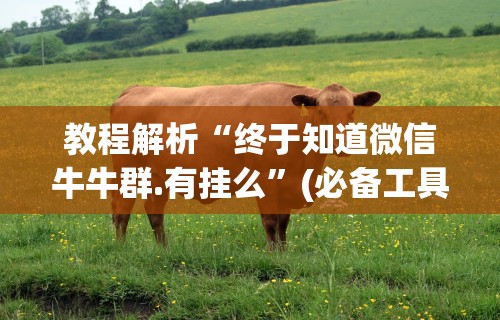 教程解析“终于知道微信牛牛群.有挂么”(必备工具)辅助教学