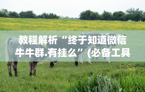 教程解析“终于知道微信牛牛群.有挂么”(必备工具)辅助教学