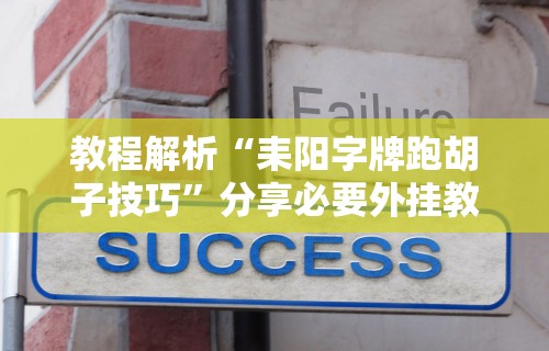 教程解析“耒阳字牌跑胡子技巧	”分享必要外挂教程