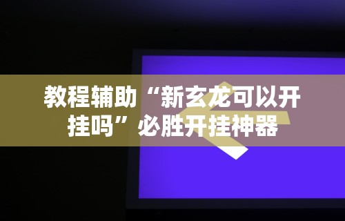 教程辅助“新玄龙可以开挂吗”必胜开挂神器