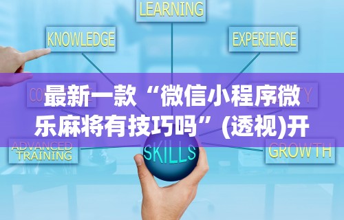 最新一款“微信小程序微乐麻将有技巧吗”(透视)开挂辅助脚本+详细开挂安装教程