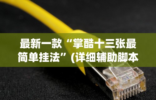 最新一款“掌酷十三张最简单挂法”(详细辅助脚本)