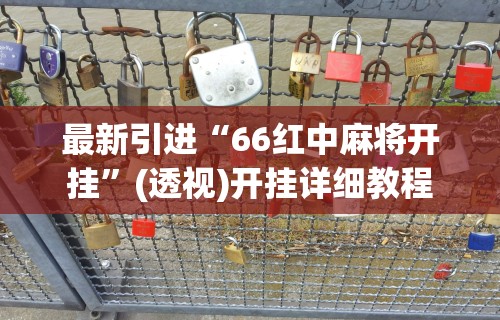 最新引进“66红中麻将开挂”(透视)开挂详细教程