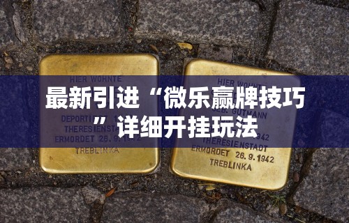 最新引进“微乐赢牌技巧”详细开挂玩法