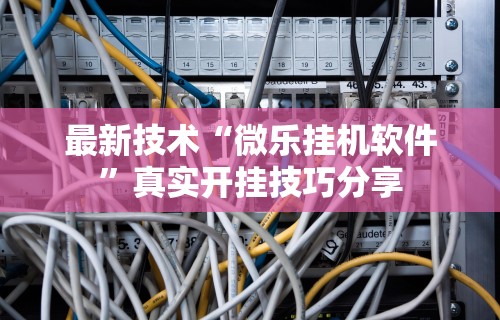 最新技术“微乐挂机软件	”真实开挂技巧分享