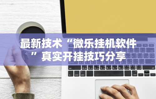 最新技术“微乐挂机软件	”真实开挂技巧分享