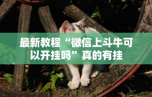 最新教程“微信上斗牛可以开挂吗	”真的有挂