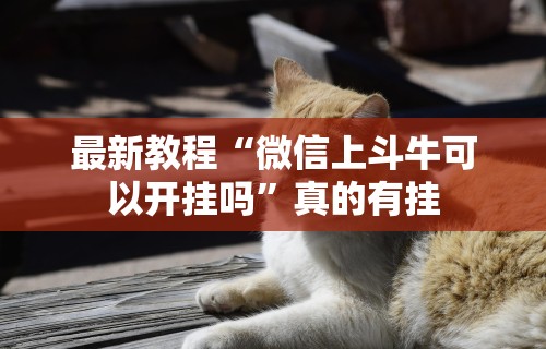 最新教程“微信上斗牛可以开挂吗”真的有挂