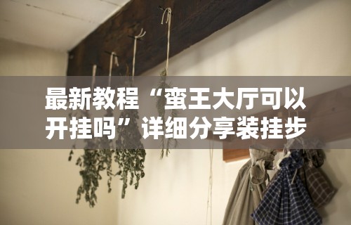 最新教程“蛮王大厅可以开挂吗”详细分享装挂步骤教程