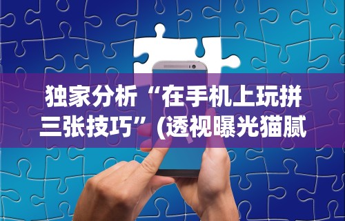 独家分析“在手机上玩拼三张技巧”(透视曝光猫腻)