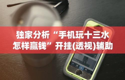 独家分析“手机玩十三水怎样赢钱”开挂(透视)辅助