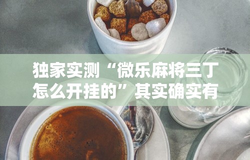 独家实测“微乐麻将三丁怎么开挂的”其实确实有挂