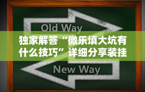 独家解答“微乐填大坑有什么技巧”详细分享装挂步骤