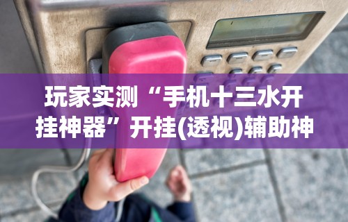 玩家实测“手机十三水开挂神器”开挂(透视)辅助神器