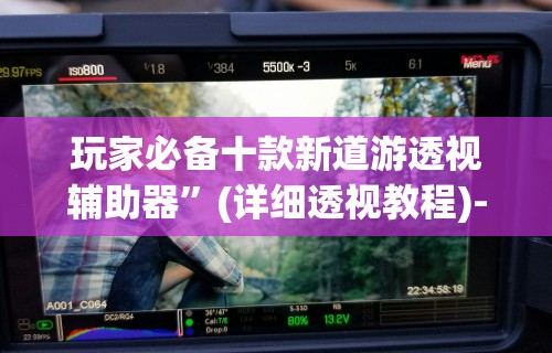 玩家必备十款新道游透视辅助器”(详细透视教程)-知乎