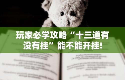 玩家必学攻略“十三道有没有挂	”能不能开挂!