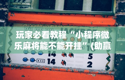 玩家必看教程“小程序微乐麻将能不能开挂”(助赢详细开挂教程)