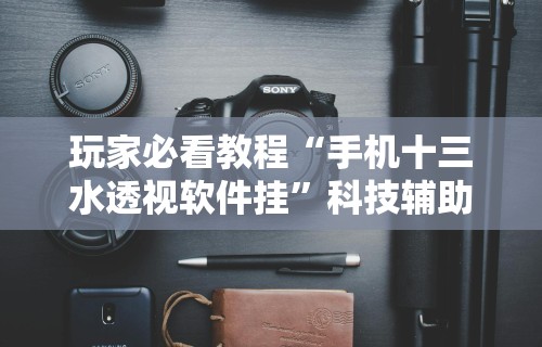 玩家必看教程“手机十三水透视软件挂”科技辅助神器手机版