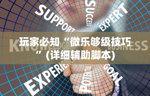 玩家必知“微乐够级技巧”(详细辅助脚本)