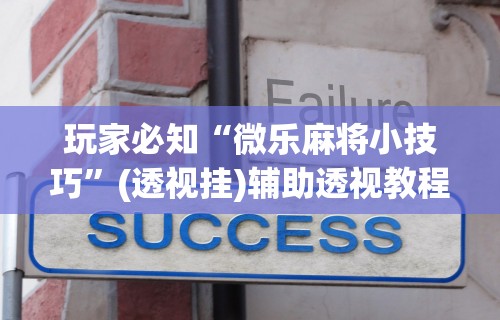 玩家必知“微乐麻将小技巧”(透视挂)辅助透视教程
