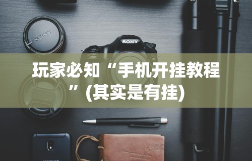 玩家必知“手机开挂教程”(其实是有挂)
