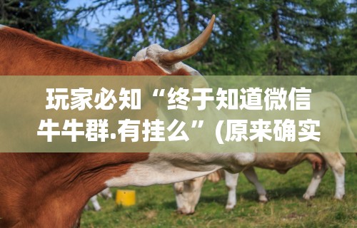 玩家必知“终于知道微信牛牛群.有挂么”(原来确实是有插件)