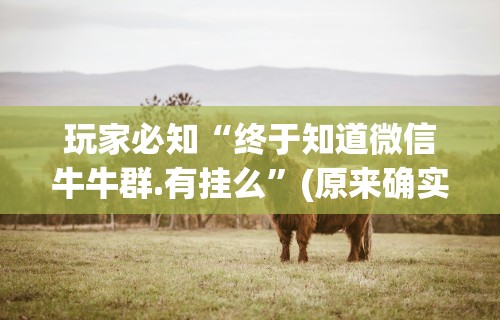 玩家必知“终于知道微信牛牛群.有挂么”(原来确实是有插件)