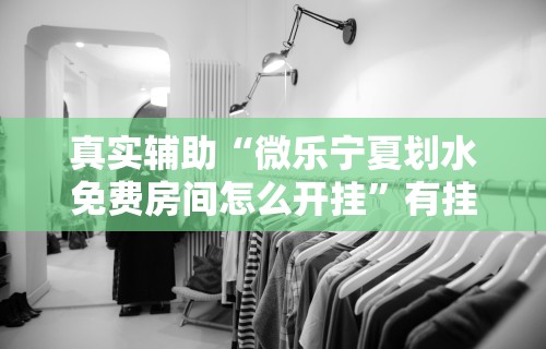 真实辅助“微乐宁夏划水免费房间怎么开挂”有挂详细开挂教程