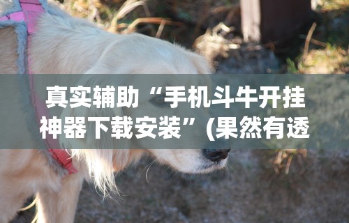 软件分享“微乐麻将怎么样才能有好手气”附开挂脚本详细步骤