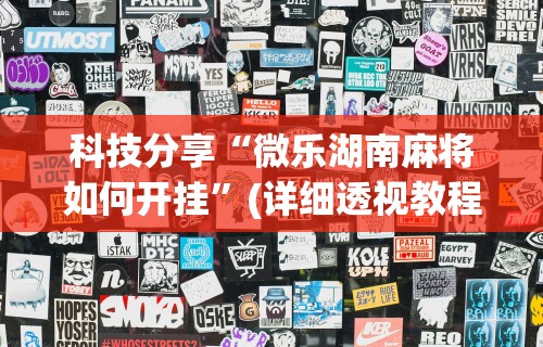 科技分享“微乐湖南麻将如何开挂”(详细透视教程)-