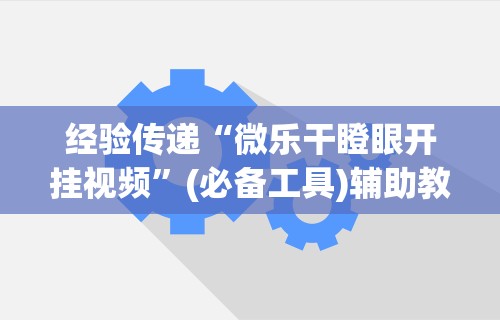经验传递“微乐干瞪眼开挂视频”(必备工具)辅助教学